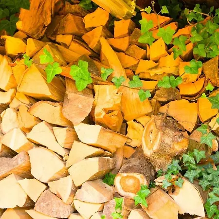 Holiday home Holzhaus Hubertus Mit Sauna Und Kamin Meschede